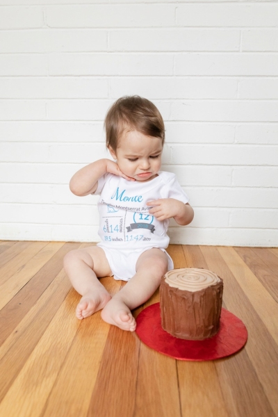 Baby Brother's First Birthday - Camp themed first birthday session - moose rocking chair - black and red plaid - big sister with pink bow