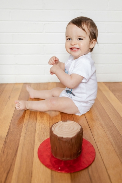 Baby Brother's First Birthday - Camp themed first birthday session - moose rocking chair - black and red plaid - big sister with pink bow