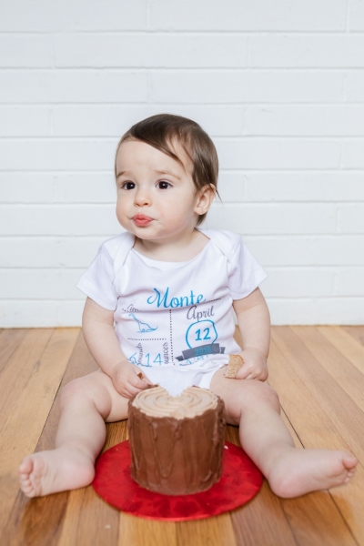 Baby Brother's First Birthday - Camp themed first birthday session - moose rocking chair - black and red plaid - big sister with pink bow