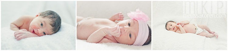 newborn photography, nh (10)