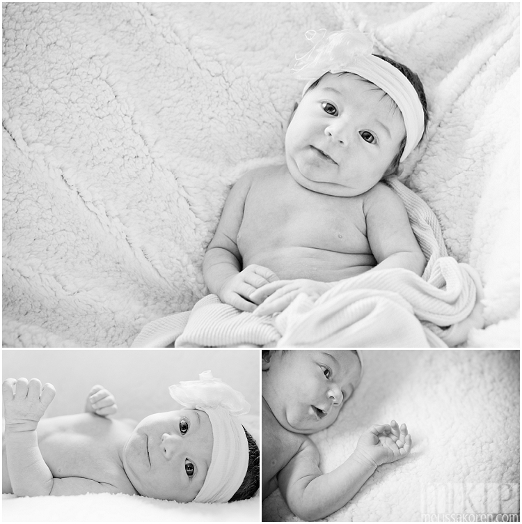 newborn photography, nh (11)