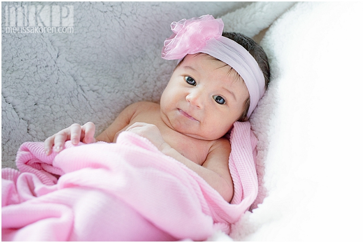 newborn photography, nh (1)