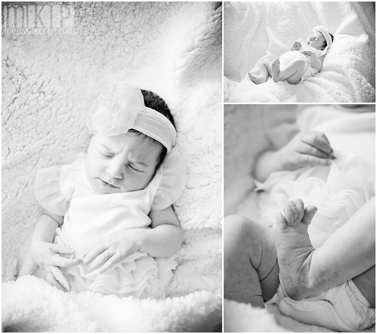 newborn photography, nh (2)
