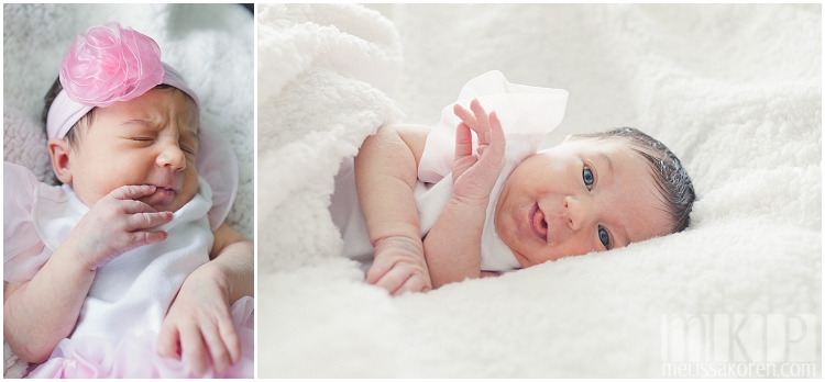 newborn photography, nh (3)