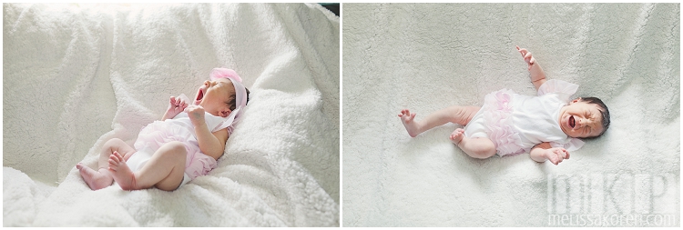 newborn photography, nh (4)