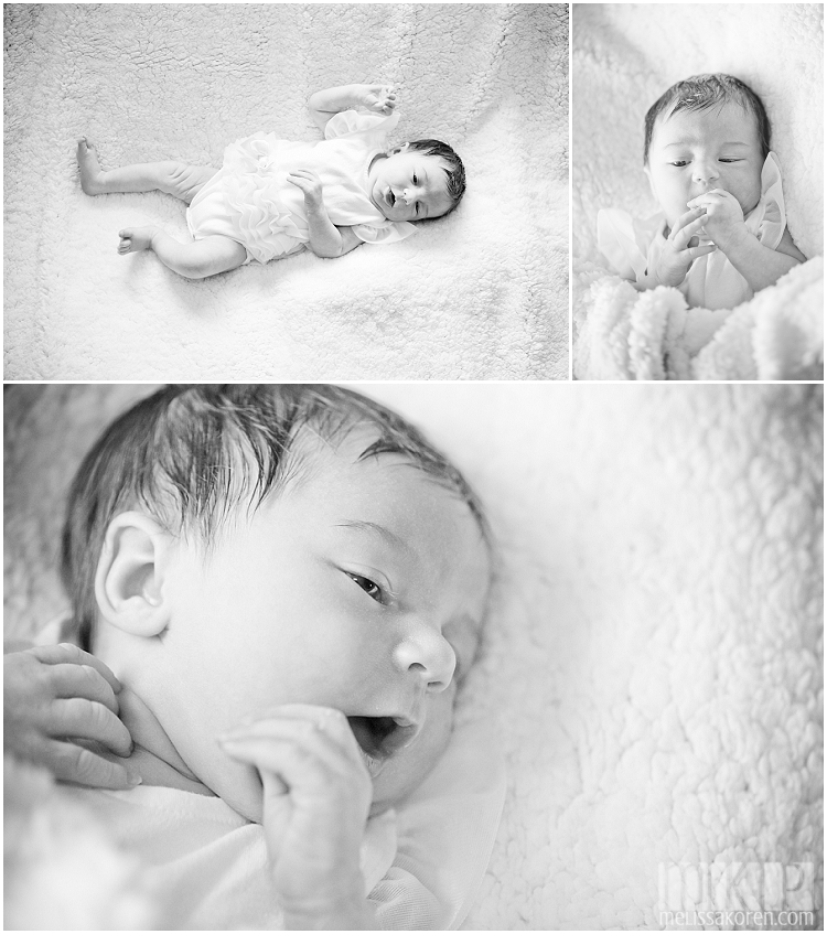 newborn photography, nh (5)