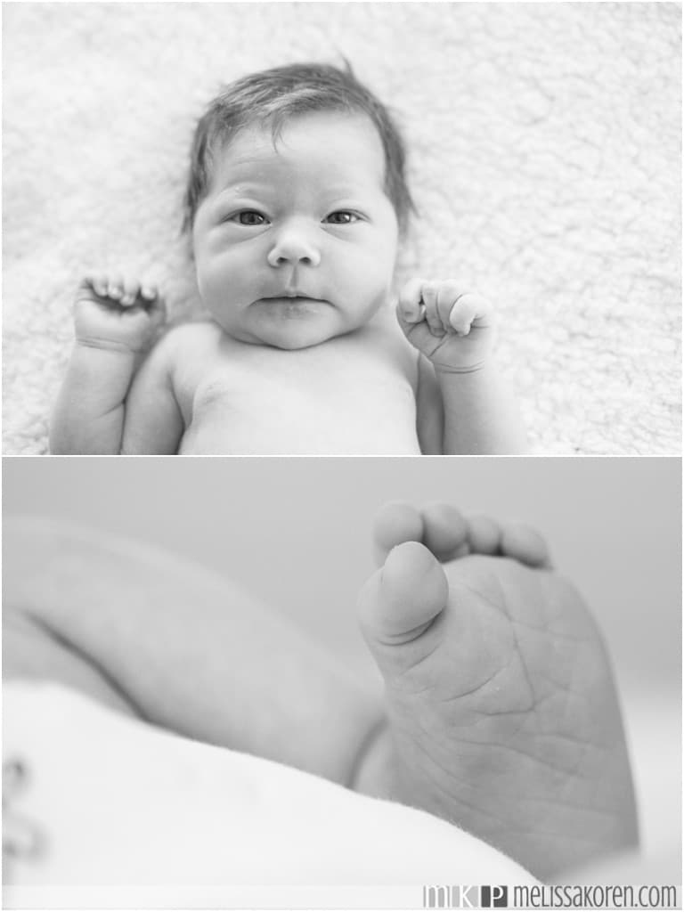 NH Newborn Photographer (2)