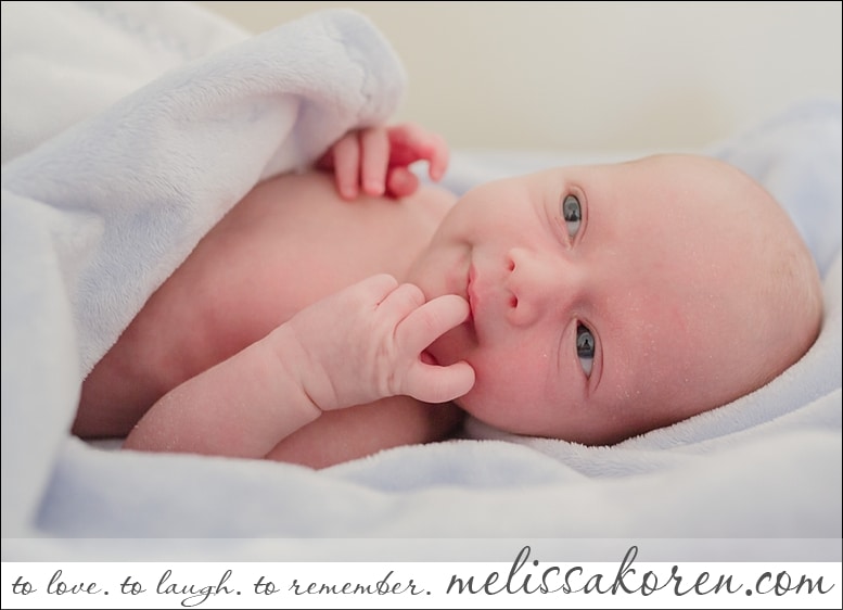 mass newborn photography00