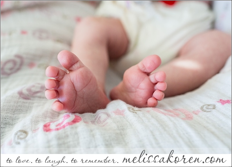 MA newborn photography000