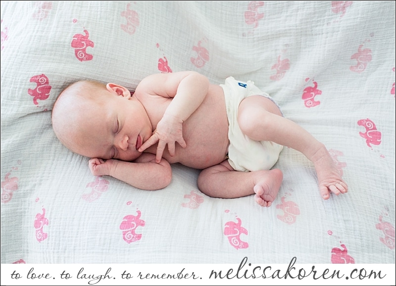MA newborn photography001