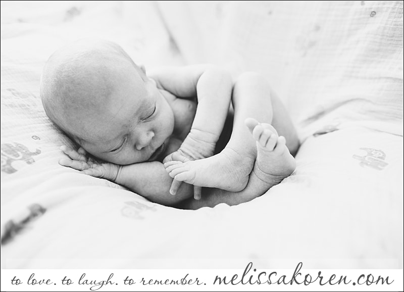 MA newborn photography002