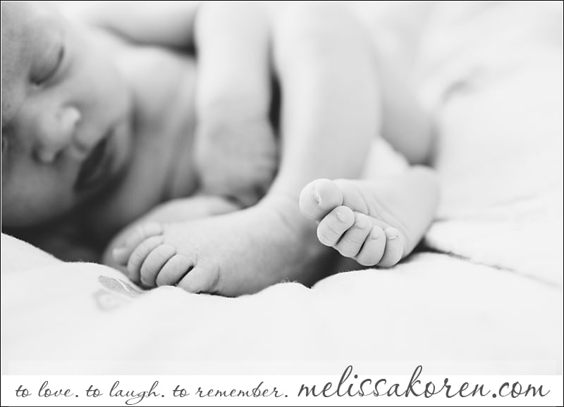 MA newborn photography003