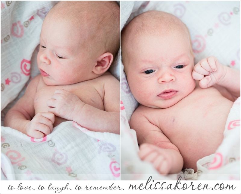 MA newborn photography005