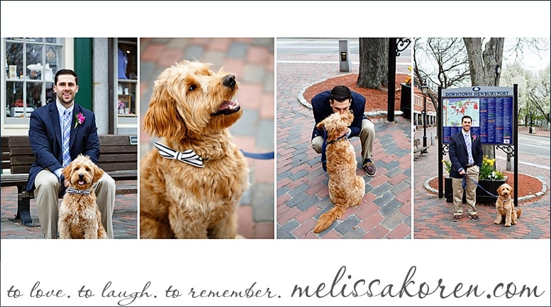 newburyport MA elopement goldendoodle bowtie012