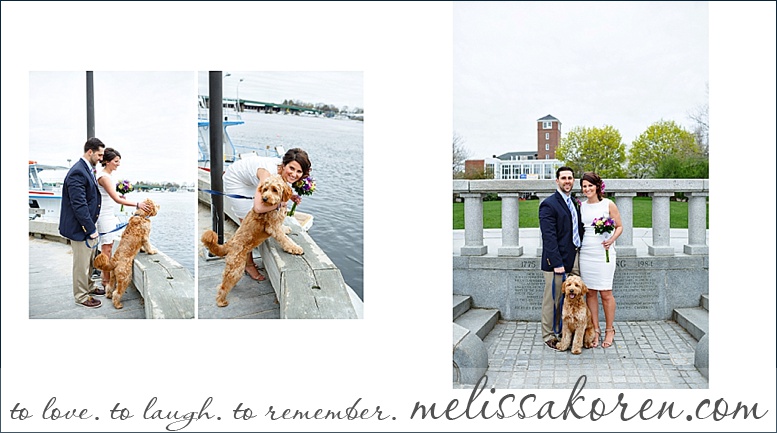 newburyport MA elopement goldendoodle bowtie014