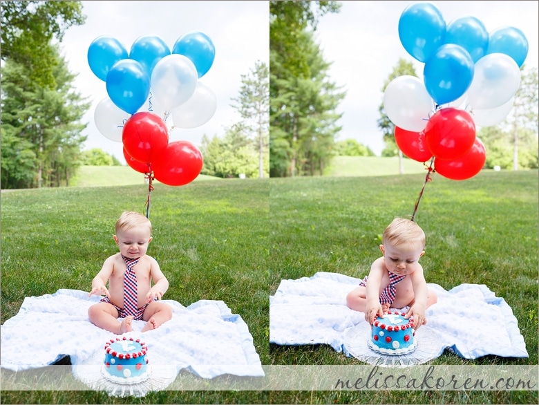 first birthday cake smash bensons hudson nh0009