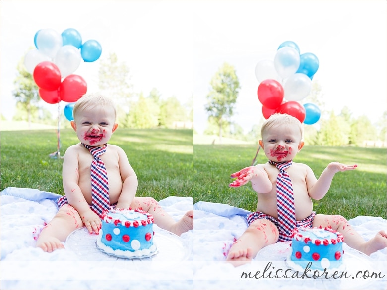 first birthday cake smash bensons hudson nh0012