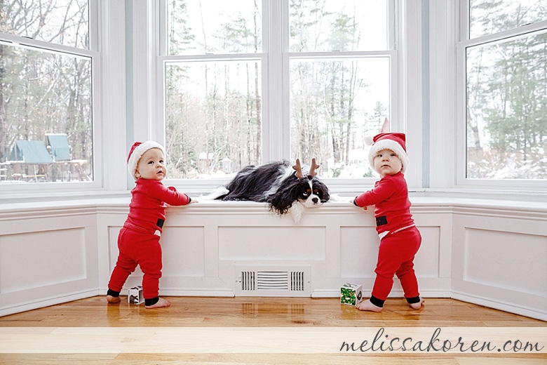 NH family christmas photos santa elf 16