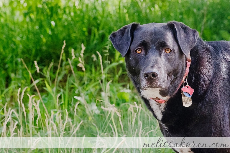 exeter NH Spring Mini Sessions 0042