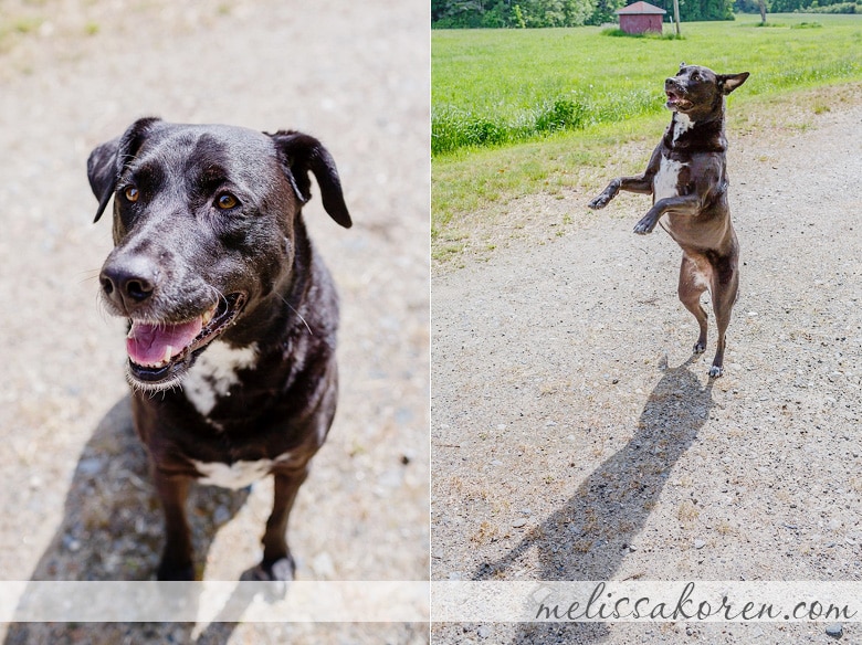 exeter NH Spring Mini Sessions 0044