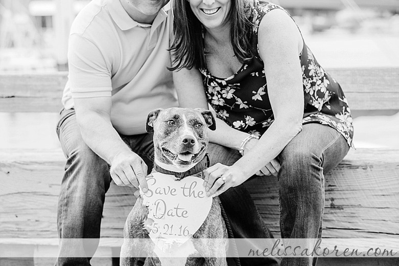 newburyport sunset engagement shoot puppy