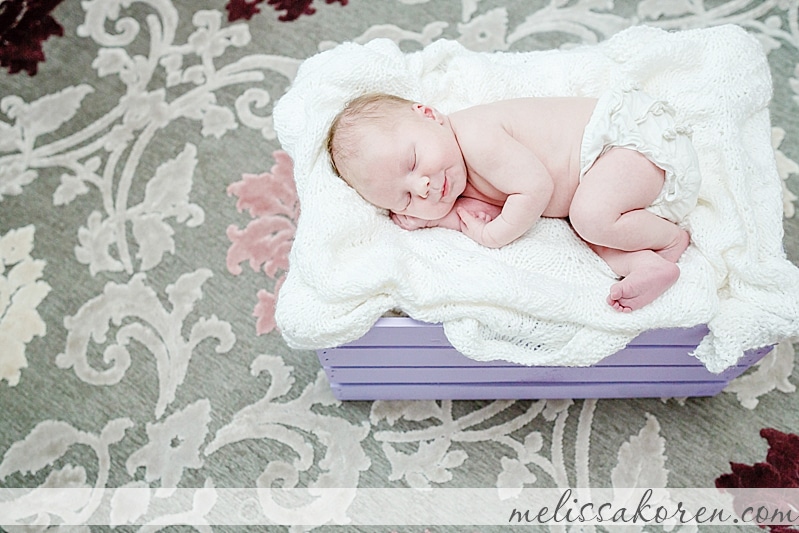 North Shore At Home Newborn Photography 05_1