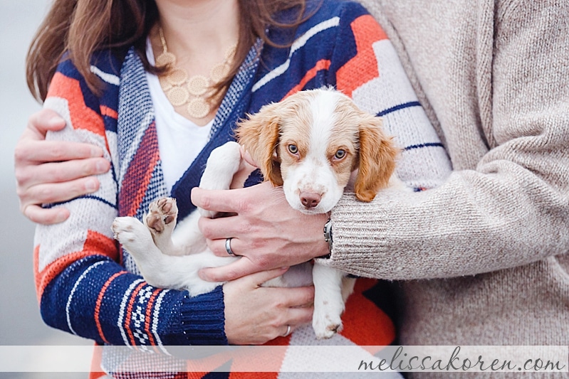 Newborn Puppy Shoot York ME 07