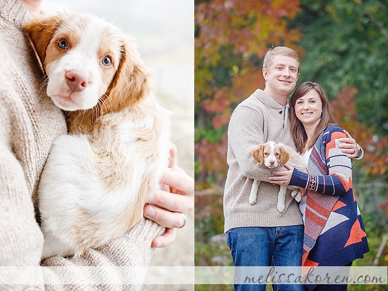 Newborn Puppy Shoot York ME 10