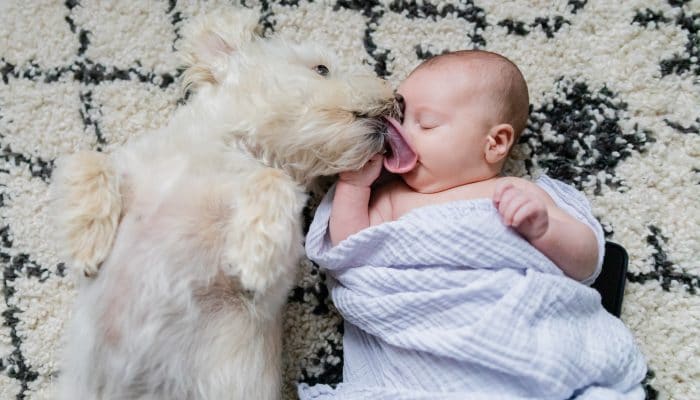 portsmouth nh newborn baby photographer