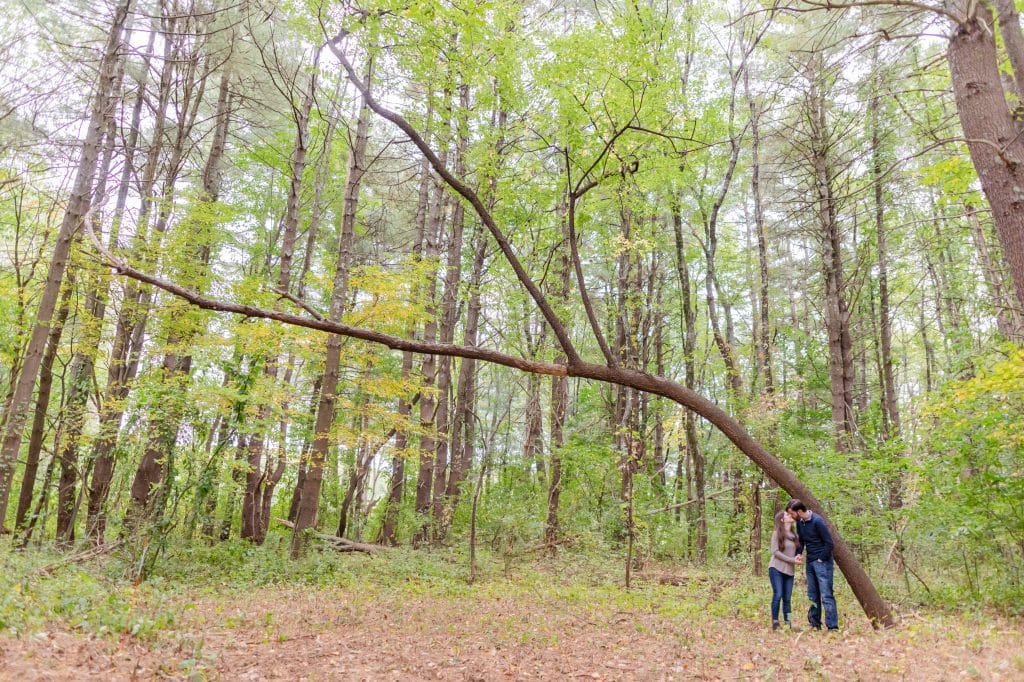 Exeter NH Wooded Engagement Session
