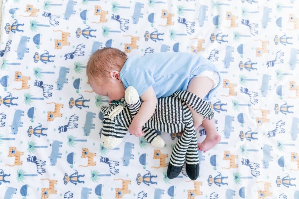 Massachusetts Family Newborn Session