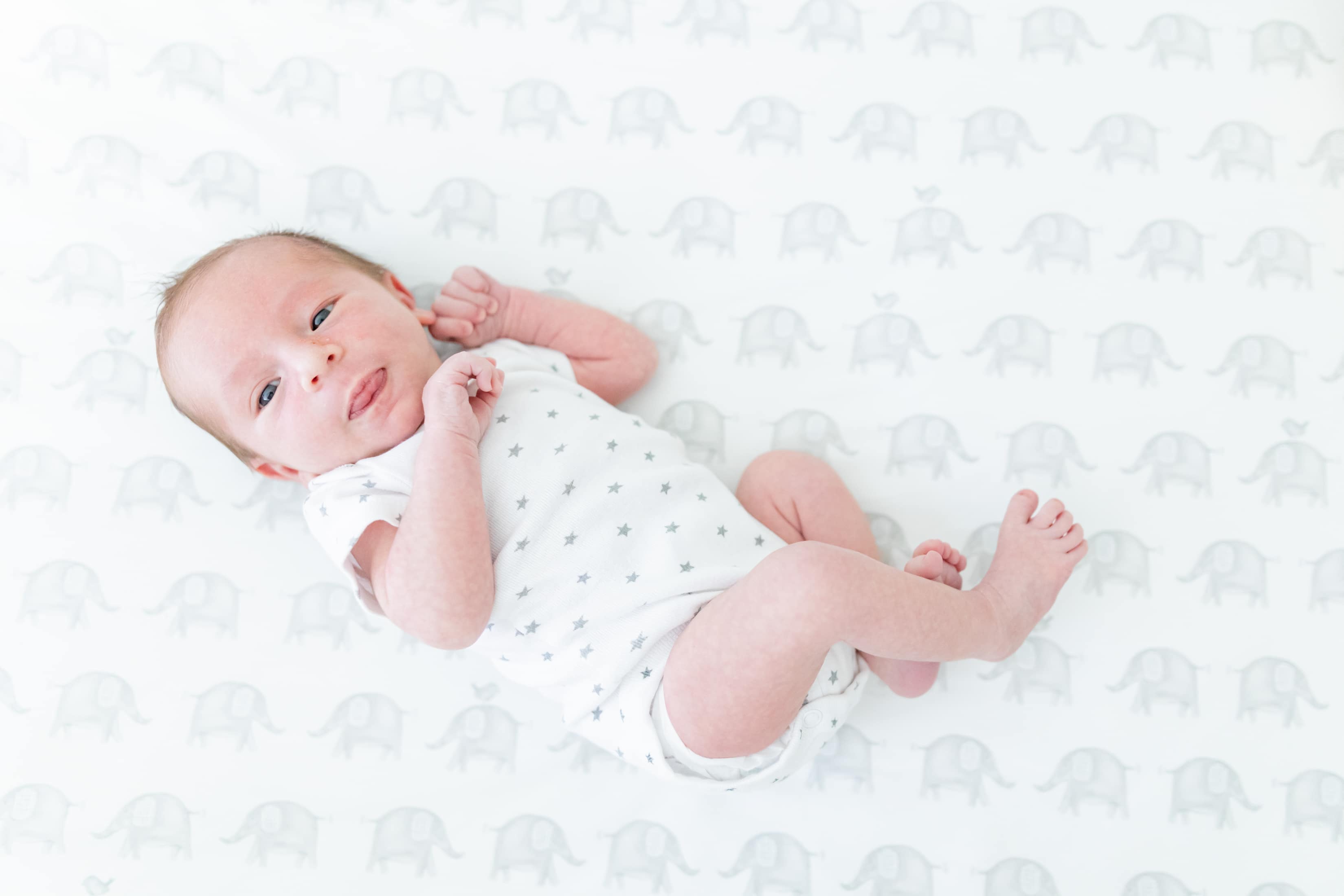 NH Family Maternity and Newborn Photos