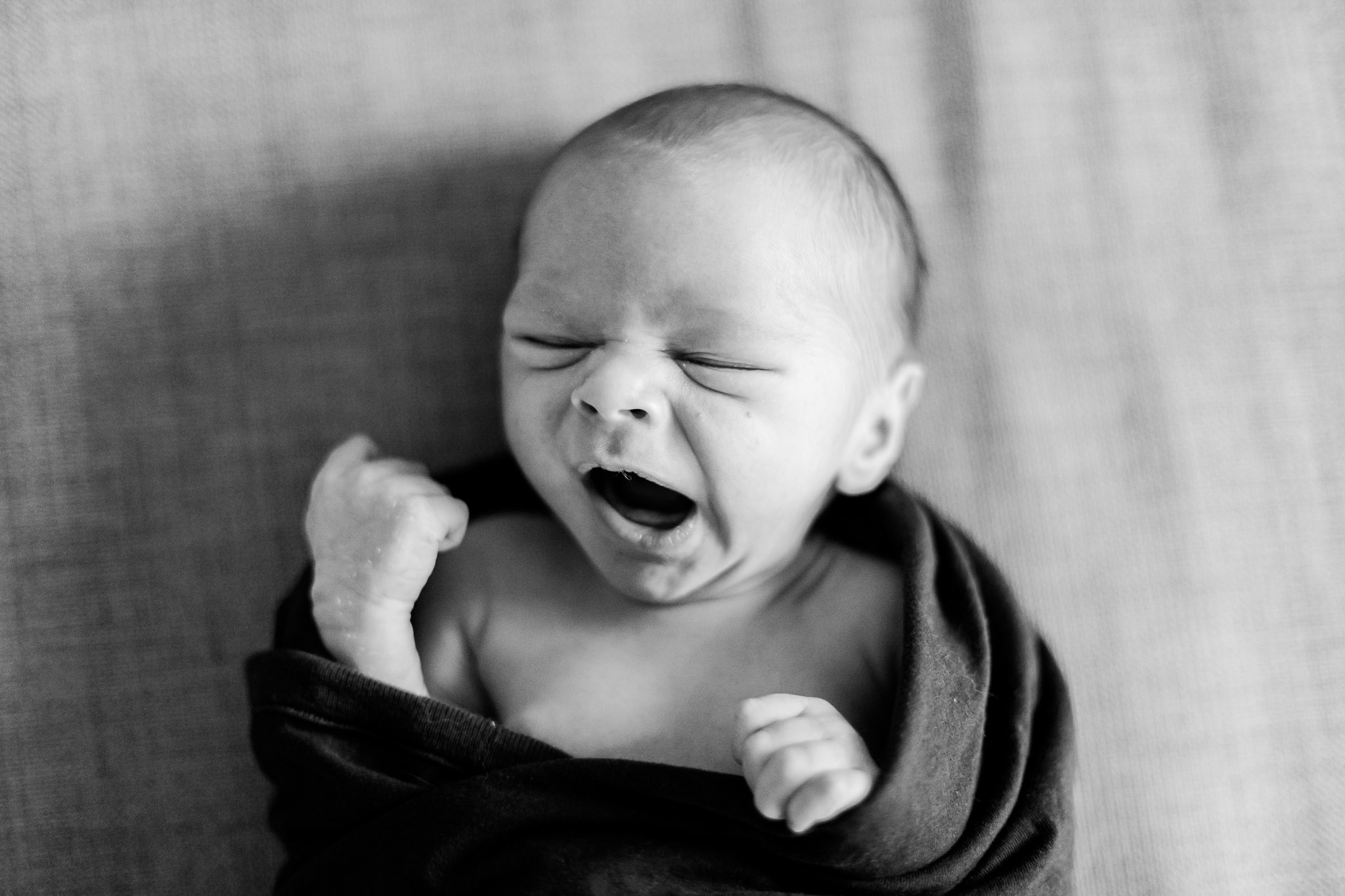 NH At Home Newborn Family Photos